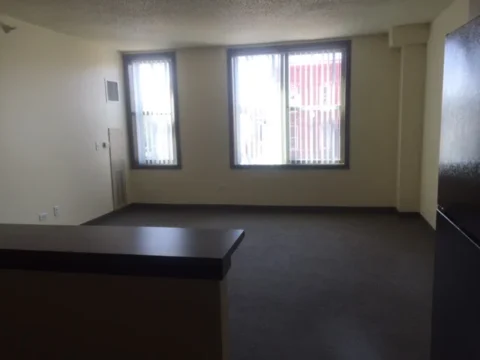 The living room with several large windows, a carpeted floor, and a dark countertop bar separating the kitchen and living space.