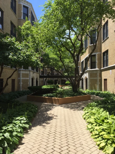 The shaded courtyard of the Palmer Square Apartments, with a brick walkway, many plants, and several trees.