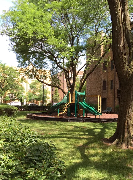 The playground and surrounding park space are fenced off from the road with ample shade and greenery.