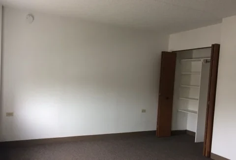 A carpeted living room with a large open closet showing multiple shelves and a bar to hang things.